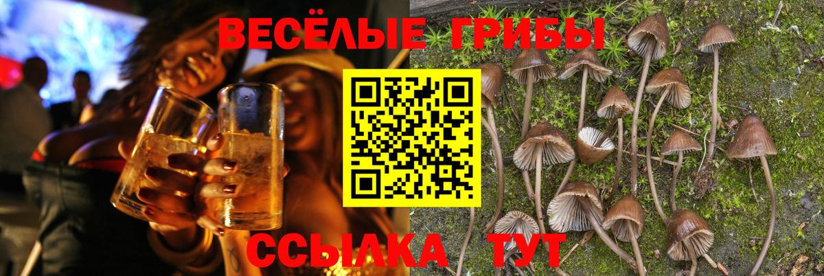 Галлюциногенные грибы Psilocybine cubensis  дарнет шоп  Вход с VPN  Воткинск  Галлюциногенные грибы GOLDEN TEACHER 